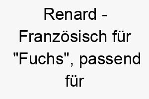 renard franzoesisch fuer fuchs passend fuer einen schlauen oder listigen hund 25460