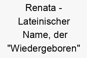 renata lateinischer name der wiedergeboren bedeutet 8538 1