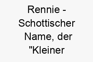 rennie schottischer name der kleiner maechtiger bedeutet 8549