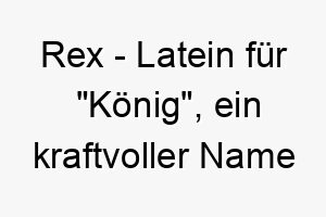 rex latein fuer koenig ein kraftvoller name fuer einen stolzen und majestaetischen hund 25725