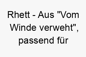 rhett aus vom winde verweht passend fuer einen stolzen oder unabhaengigen hund 25425