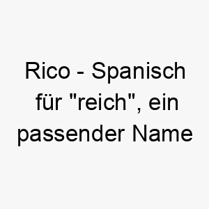 rico spanisch fuer reich ein passender name fuer einen wertvollen oder geliebten hund 25427