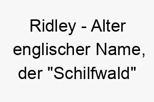 ridley alter englischer name der schilfwald bedeutet ideal fuer einen hund der die natur liebt 2 25721