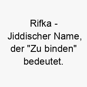 rifka jiddischer name der zu binden bedeutet 8608