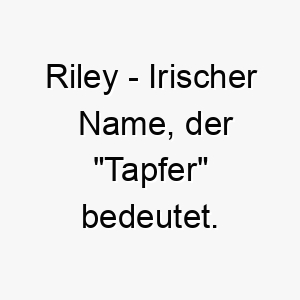 riley irischer name der tapfer bedeutet 8480