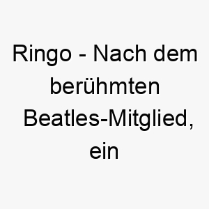 ringo nach dem beruehmten beatles mitglied ein toller name fuer einen musikliebenden hundebesitzer 25726