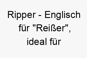 ripper englisch fuer reisser ideal fuer einen kraeftigen starken hund 25501