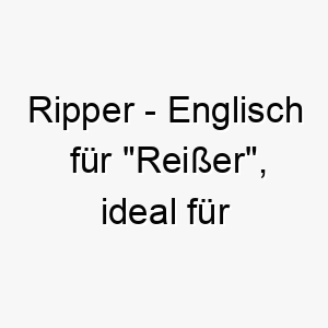 ripper englisch fuer reisser ideal fuer einen kraeftigen starken hund 25501