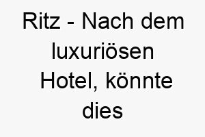 ritz nach dem luxurioesen hotel koennte dies fuer einen sehr verwoehnten und wohlgenaehrten hund passen 25489