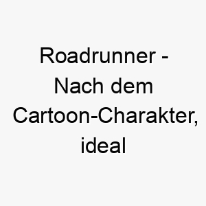 roadrunner nach dem cartoon charakter ideal fuer einen schnellen oder energischen hund 25430