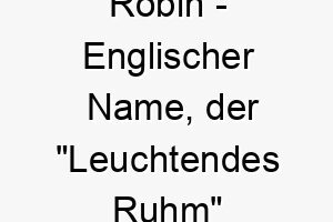 robin englischer name der leuchtendes ruhm bedeutet 8502