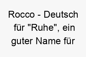 rocco deutsch fuer ruhe ein guter name fuer einen ruhigen und entspannten hund 25703