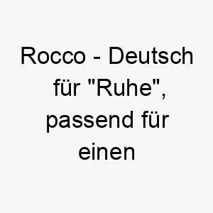 rocco deutsch fuer ruhe passend fuer einen ruhigen gelassenen hund 25452