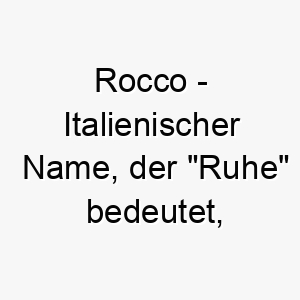 rocco italienischer name der ruhe bedeutet geeignet fuer einen ruhigen hund 25412