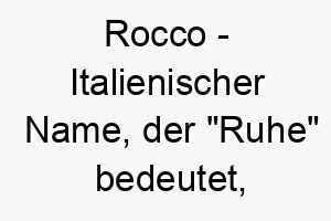 rocco italienischer name der ruhe bedeutet passend fuer einen ruhigen und sanften hund 25732