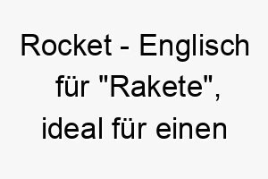 rocket englisch fuer rakete ideal fuer einen schnellen energiegeladenen hund 25728