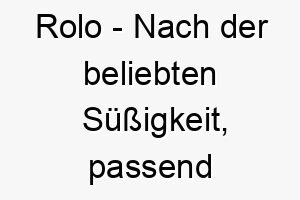 rolo nach der beliebten suessigkeit passend fuer einen suessen liebenswerten hund 25720