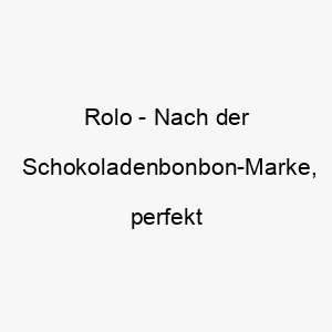 rolo nach der schokoladenbonbon marke perfekt fuer einen suessen und liebenswerten hund 25734