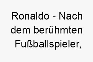 ronaldo nach dem beruehmten fussballspieler ideal fuer einen aktiven hund der gerne spielt 25702