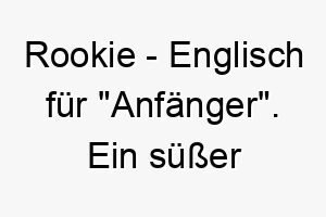 rookie englisch fuer anfaenger ein suesser name fuer einen welpen oder einen hund der gerade mit dem training beginnt 25464