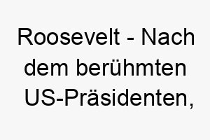 roosevelt nach dem beruehmten us praesidenten perfekt fuer einen furchtlosen oder fuehrungshund 25530