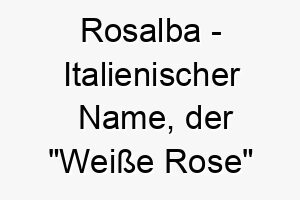 rosalba italienischer name der weisse rose bedeutet 8530 1