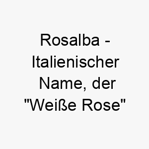 rosalba italienischer name der weisse rose bedeutet 8530 1