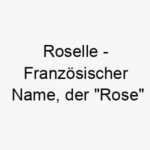 roselle franzoesischer name der rose bedeutet 8593