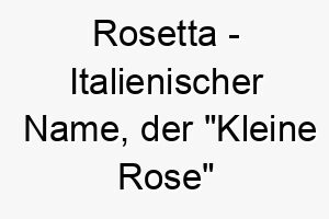 rosetta italienischer name der kleine rose bedeutet 8518