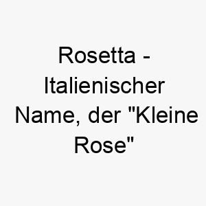 rosetta italienischer name der kleine rose bedeutet 8518