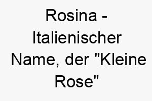 rosina italienischer name der kleine rose bedeutet 8615