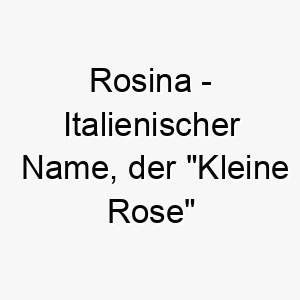 rosina italienischer name der kleine rose bedeutet 8615