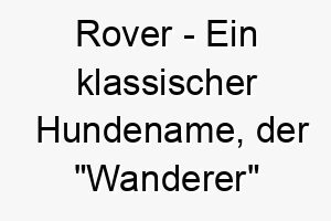 rover ein klassischer hundename der wanderer bedeutet passend fuer einen abenteuerlustigen oder sehr aktiven hund 25490