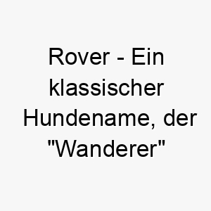 rover ein klassischer hundename der wanderer bedeutet passend fuer einen abenteuerlustigen oder sehr aktiven hund 25490