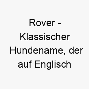 rover klassischer hundename der auf englisch wanderer bedeutet geeignet fuer einen abenteuerlustigen hund 25461