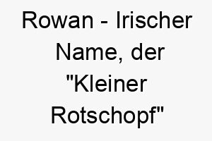 rowan irischer name der kleiner rotschopf bedeutet 8604