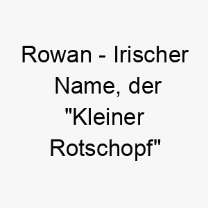 rowan irischer name der kleiner rotschopf bedeutet 8604