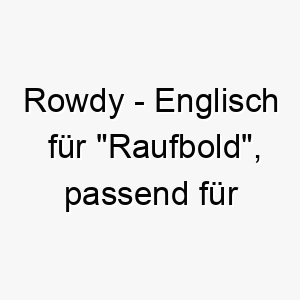 rowdy englisch fuer raufbold passend fuer einen lebhaften energischen hund 25434