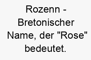 rozenn bretonischer name der rose bedeutet 8578