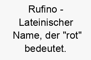 rufino lateinischer name der rot bedeutet passend fuer einen hund mit rotem fell 25752