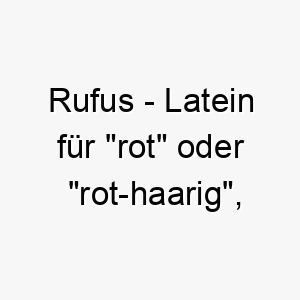 rufus latein fuer rot oder rot haarig passend fuer hunde mit rot oder braun gefaerbtem fell 25463