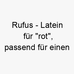 rufus latein fuer rot passend fuer einen hund mit rotem oder roetlichem fell 25710