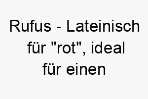 rufus lateinisch fuer rot ideal fuer einen hund mit rotem oder roetlichem fell 25454