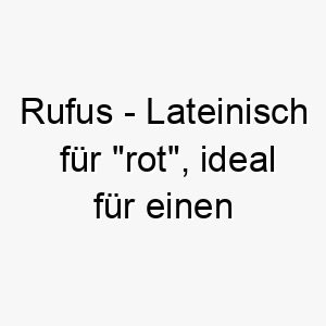 rufus lateinisch fuer rot ideal fuer einen hund mit rotem oder roetlichem fell 25454