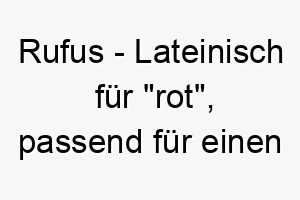 rufus lateinisch fuer rot passend fuer einen hund mit rotem oder goldbraunem fell 25415