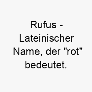 rufus lateinischer name der rot bedeutet geeignet fuer einen hund mit rotem fell 25747