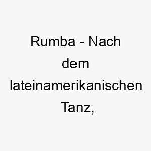 rumba nach dem lateinamerikanischen tanz passend fuer einen energiegeladenen hund mit schwung 25481