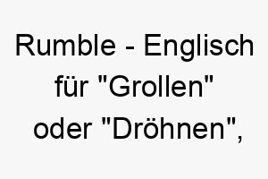 rumble englisch fuer grollen oder droehnen ideal fuer einen grossen oder kraeftigen hund 25713