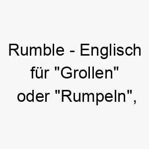 rumble englisch fuer grollen oder rumpeln ein guter name fuer einen grossen oder kraeftigen hund 25436