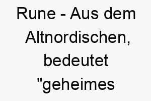 rune aus dem altnordischen bedeutet geheimes zeichen oder geheimnis ideal fuer einen mysterioesen oder einzigartigen hund 25492